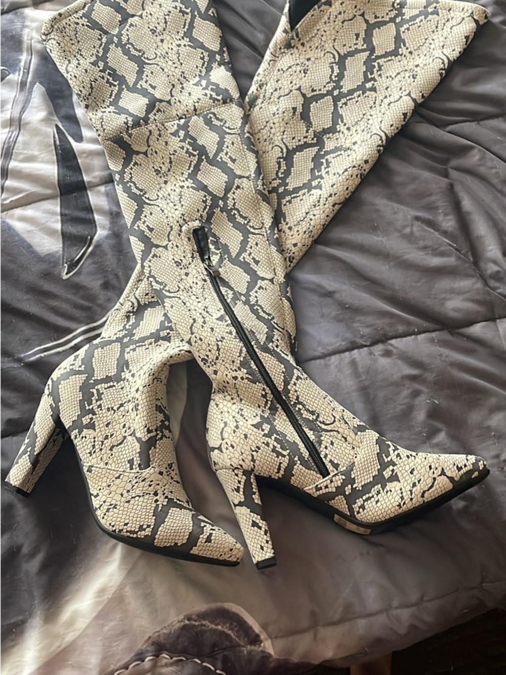 ShoeNTale Snake-Print Over-the-Knee Boots - Black & Cream
